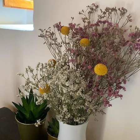 El Rollo * Molinaseca